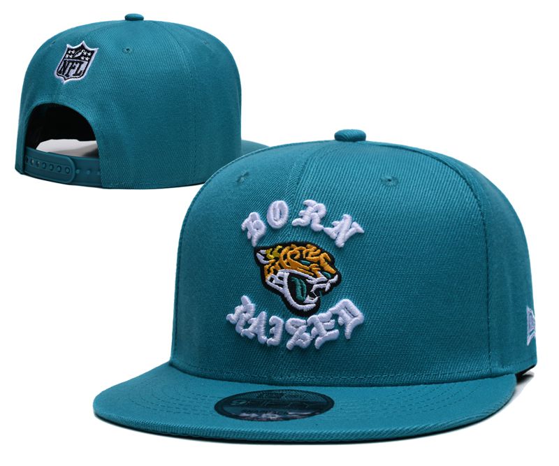 2025 NFL Jacksonville Jaguars Hat YS2025411->nfl hats->Sports Caps
